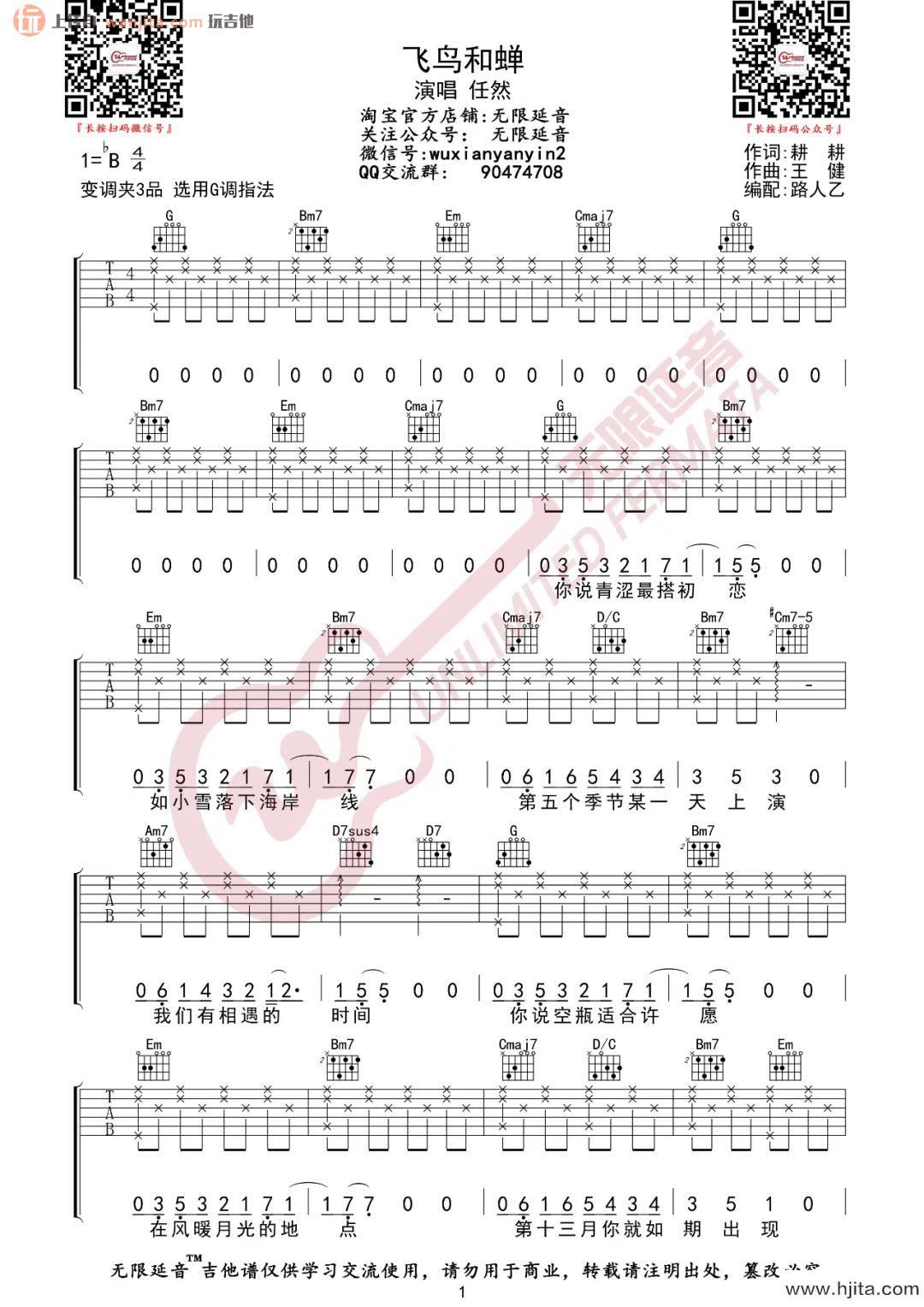 《飞鸟和蝉》吉他谱_G调吉他弹唱谱_新手入门版_任然