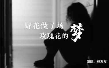 《野花做了场玫瑰花的梦吉他谱》杨友友_C调六线谱_两万五制谱