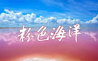 《粉色海洋吉他谱》周杰伦_G调六线谱_懒猫制谱