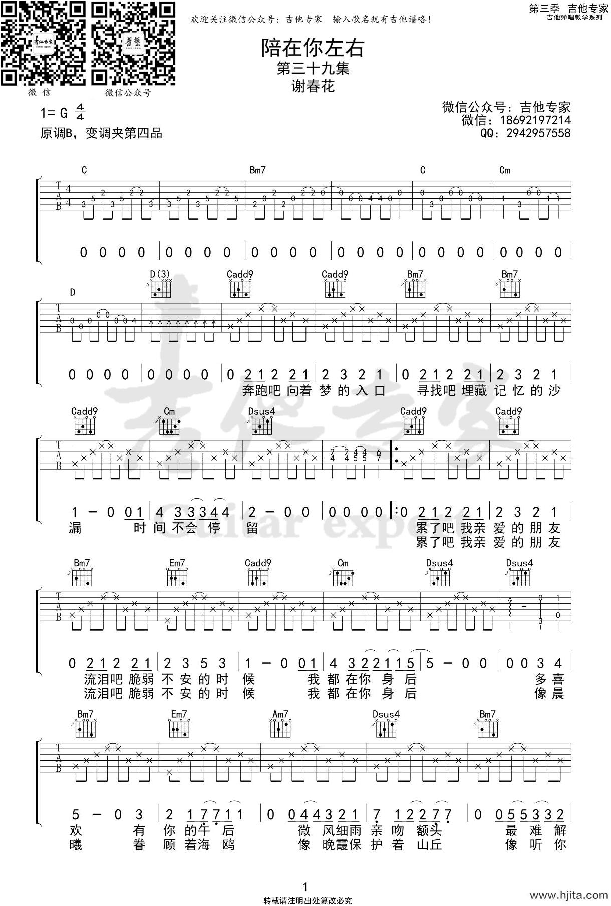 陪在你左右吉他谱_谢春花演唱_《五六七》第三季片尾曲_G调弹唱谱完整曲谱