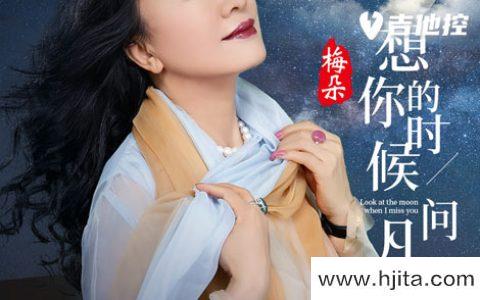 梅朵《想你的时候问月亮》吉他谱-C调原版吉他谱